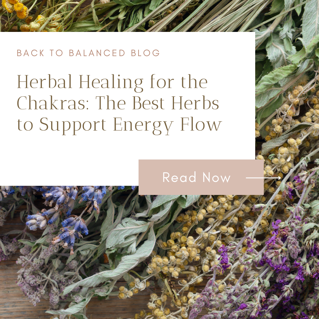 Herbal Healing for the Chakras: The Best Herbs to Support Energy Flow