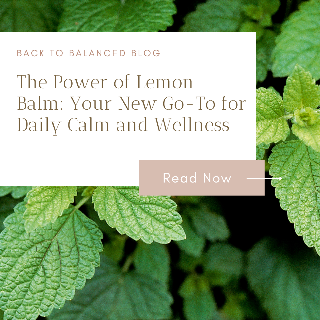 The Power of Lemon Balm: Your New Go-To for Daily Calm and Wellness